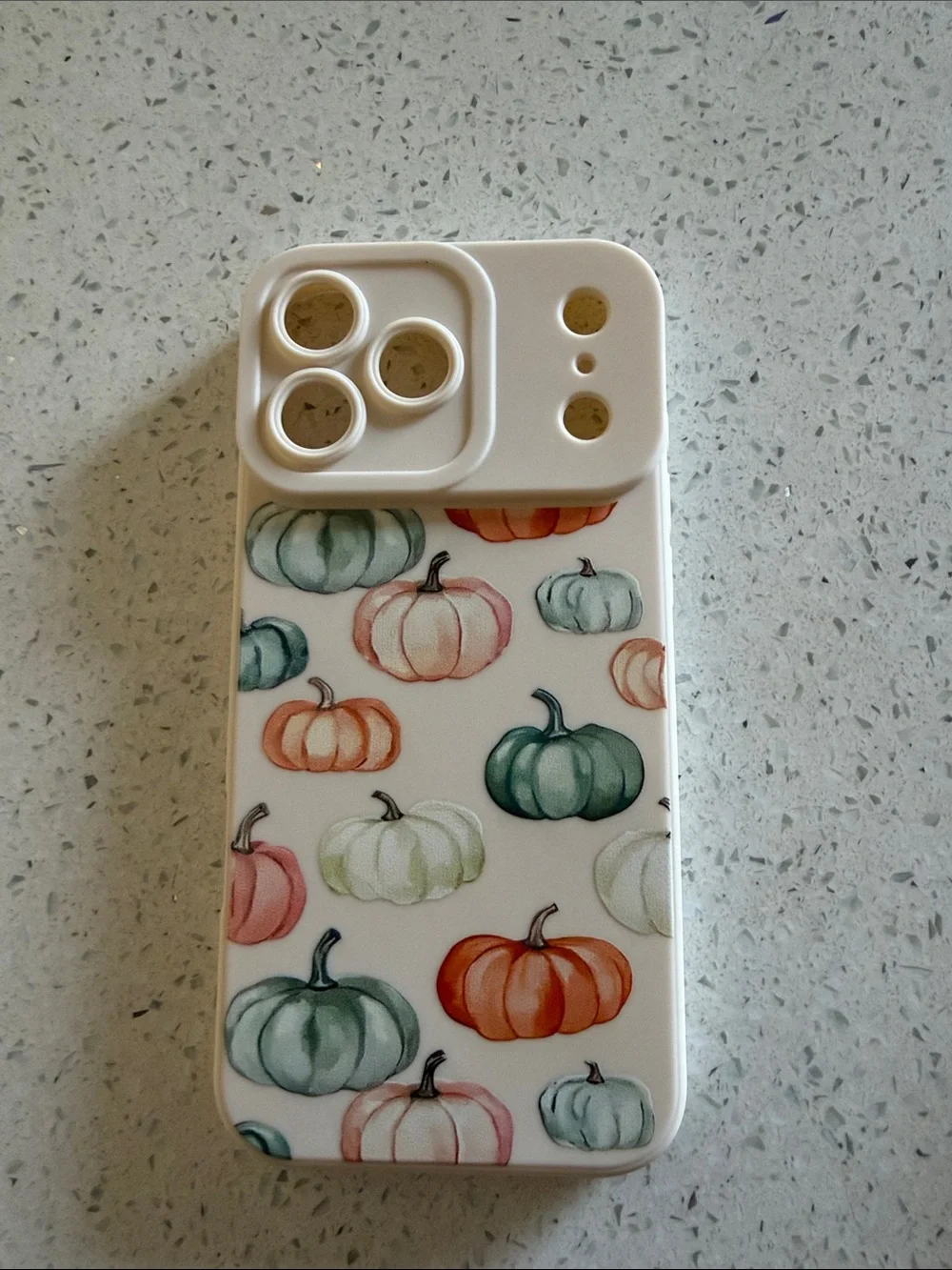White Pumpkin Pattern Camera Phone Case - Compatible iPhone 17 pro max
